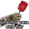 MEMES para ti 11 8