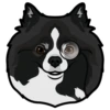 Ava 6