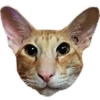 vika_karter  twitch smiles by sx66627 10