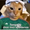🏆 Copa América 2024 ⚽memes ✨ 11