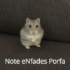 Hamster Random 🐹 8