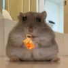 Hamster Random 🐹 9