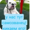 КакаR-то хYйнR 8
