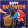 Disfraz 🎃🐾 HALLOWEEN 12