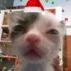 Feliz Navidad 9