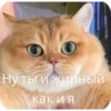 КакаR-то хYйнR 9