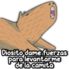 CAPIBARA Frases 7