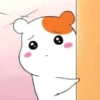 Hamster 11
