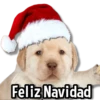 Feliz Navidad
