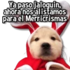 Ya paso jaloguin, ahora nos alistamos para el Merricrismas