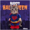 Disfraz 🎃🐾 HALLOWEEN 13