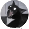 Los robé de un tiktok 🤫 9