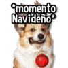 *momento Navideño*