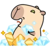 Pipi Capybara 3 11
