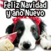 Feliz Navidad y año Nuevo