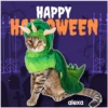 Disfraz 🎃🐾 HALLOWEEN 14