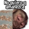 Changuitos Stickers🐒🍌 8
