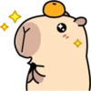 Pipi Capybara 3 12