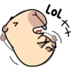 Pipi Capybara 3 13