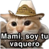 MEMES para ti 11 11