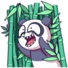 Panda Chan 15