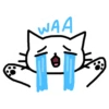 Gatito Sentimental 1 6