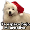 Perritos Navideños 6