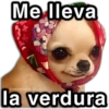 MEMES para ti 11 12