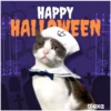 Disfraz 🎃🐾 HALLOWEEN 15