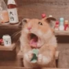 Hamster Random 🐹 13
