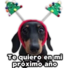 Perritos Navideños 7