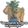CAPIBARA Frases 11