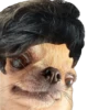 Perrito Milei 6