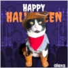 Disfraz 🎃🐾 HALLOWEEN 17