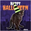Disfraz 🎃🐾 HALLOWEEN 18