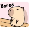 Pipi Capybara 3 16
