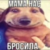 YLPvaQS_by_achestickbot 6