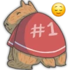 CAPIBARA Frases 12
