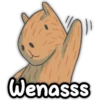 CAPIBARA Frases 13