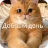 КакаR-то хYйнR 15