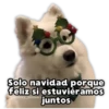 Perritos Navideños 9