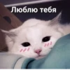 Люблю тебя
