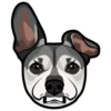 Loki 5