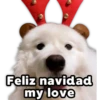 Perritos Navideños 12