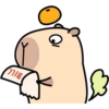 Pipi Capybara 3 18