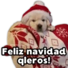 Perritos Navideños 13