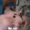 Hamster Random 🐹 18