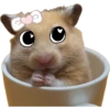 Hamsters ❤️ 7