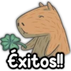 CAPIBARA Frases 16