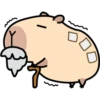 Pipi Capybara 3 19